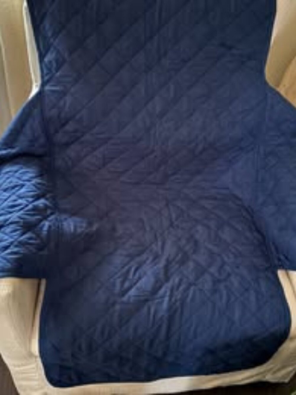 Sofa Shield Armchair Cushion Protector
